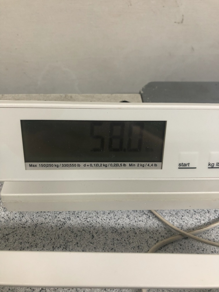 Seca 869 Digital Patient Scale