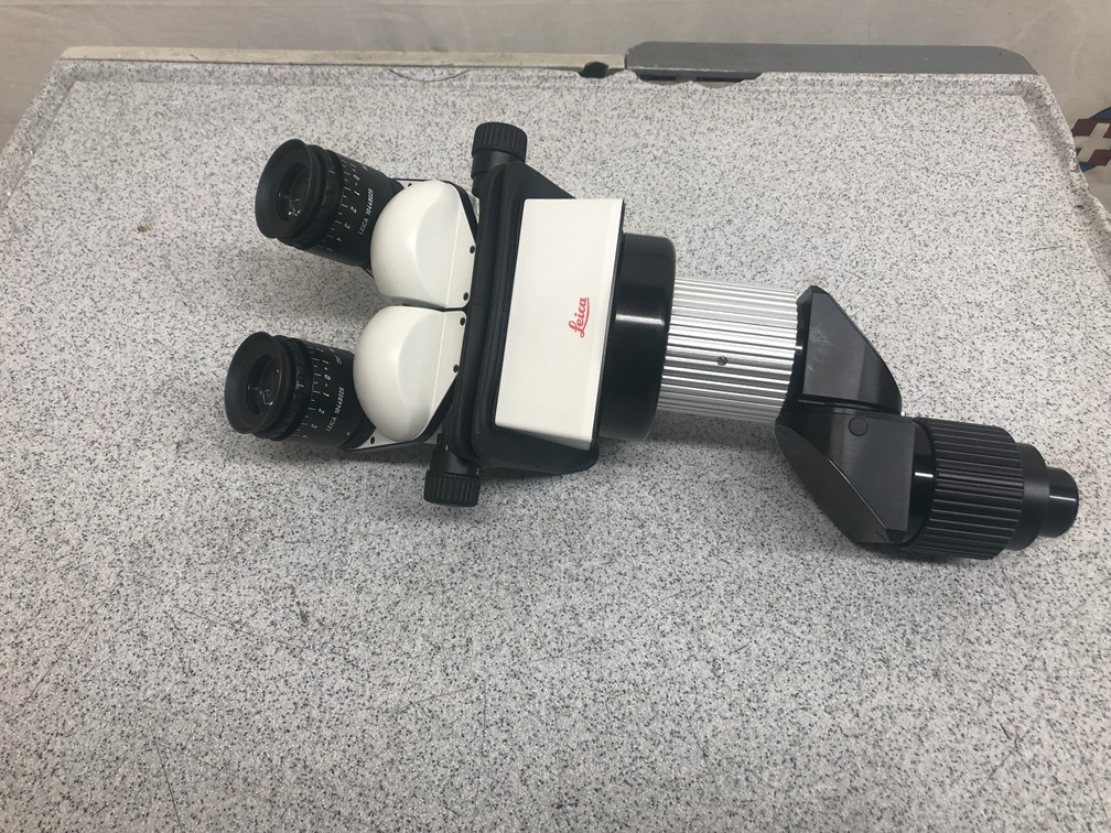 Leica 10446797 Surgical Microscope Binocular Head with 10x / 21 Eyepieces
