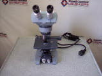 American Optical Spencer Microscope