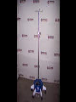 OmniMed 714314  Power Lifter IV Pole